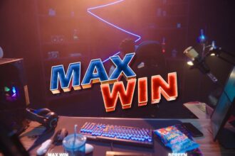 Why Streemaus Is a Game Changer for Streamers