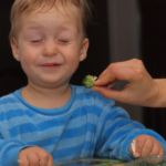 Encouraging Healthy Eating Habits in Young Children