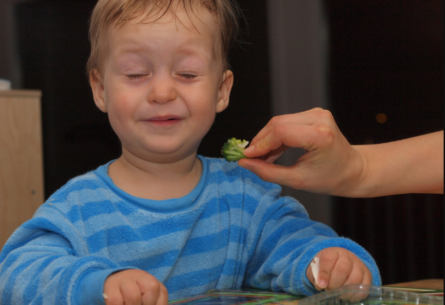 Encouraging Healthy Eating Habits in Young Children